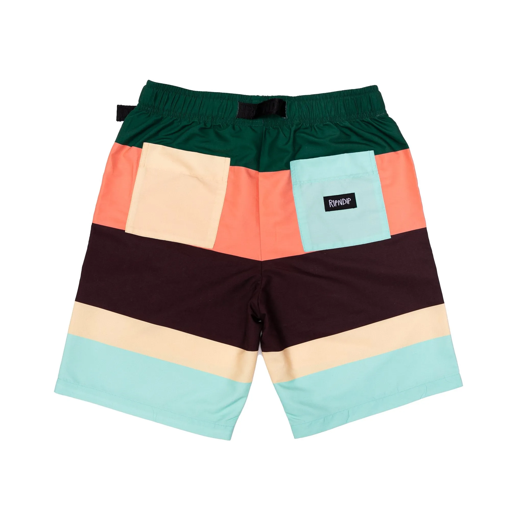 Chromatic Swim Shorts (Multi)