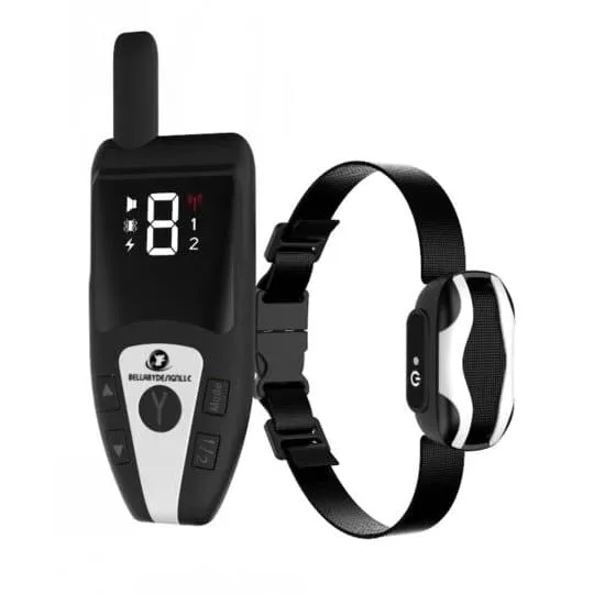 Dog Training Collar with remote Shock or No Shock color white/black