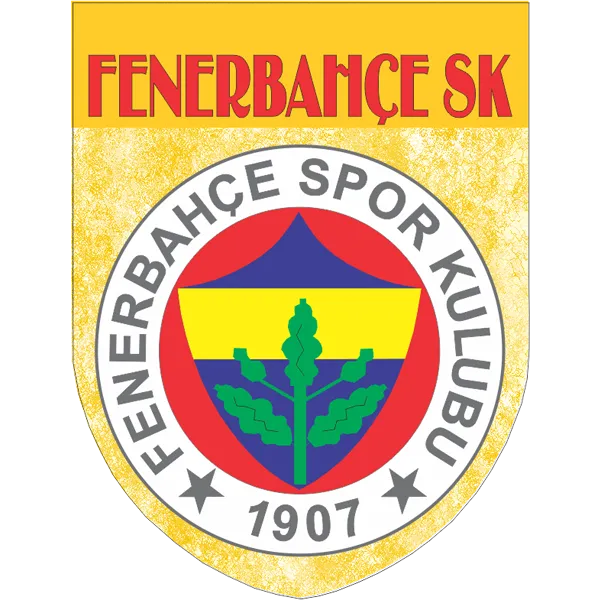 Fenerbache Soccer Team Flag Shield Style