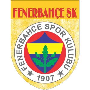 Fenerbache Soccer Team Flag Shield Style