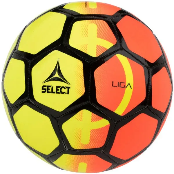 Liga Soccer Ball