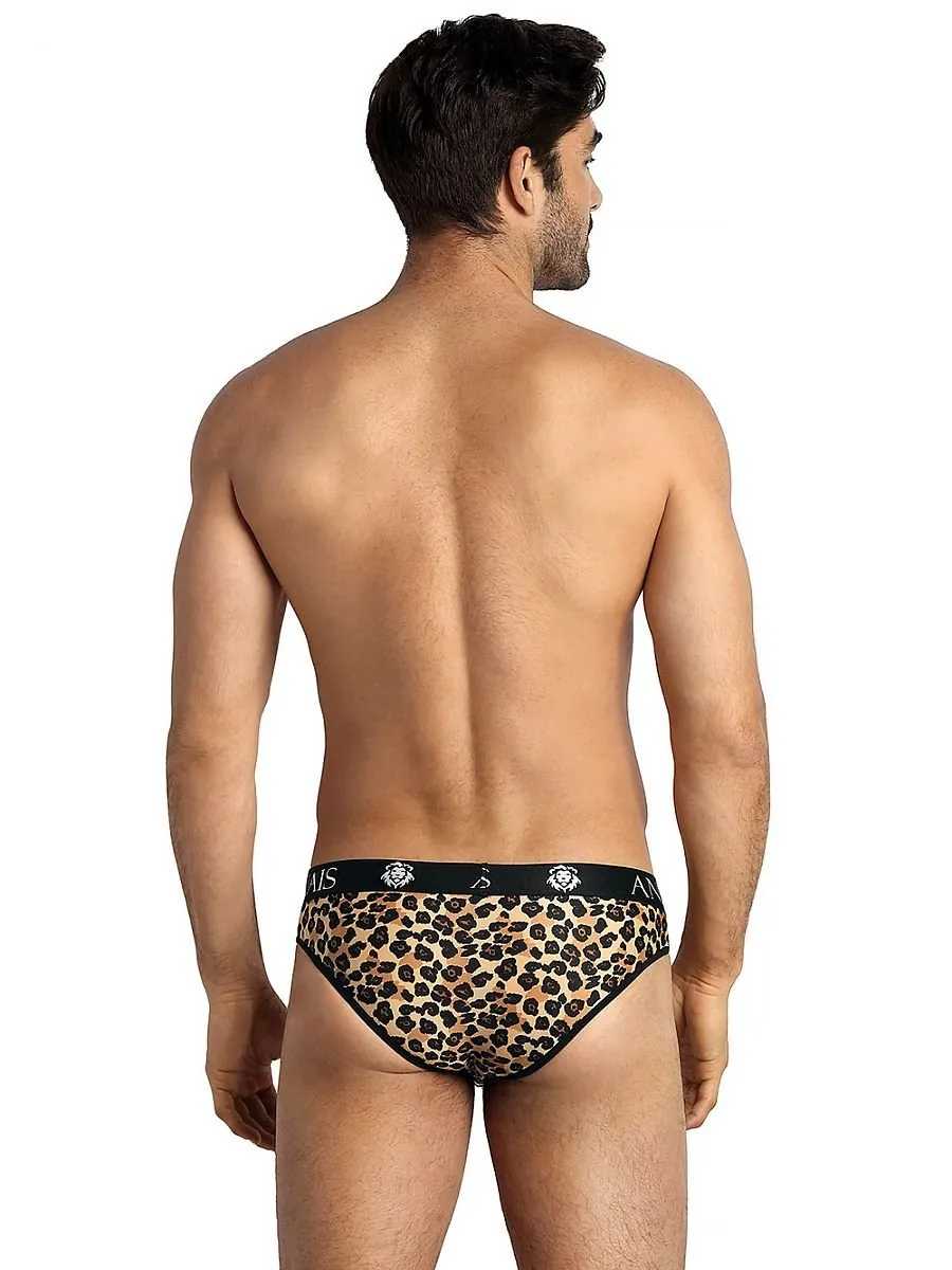 Men's briefs  Anais