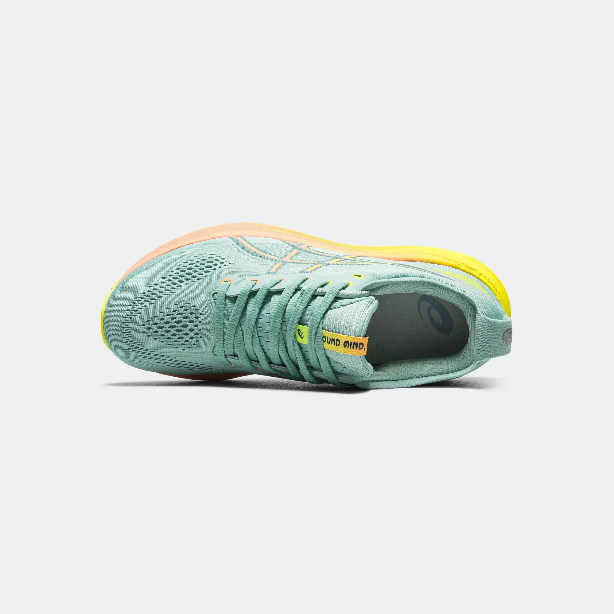 Mens GEL-Kayano 31 'Paris' - Light Celadon/Paris