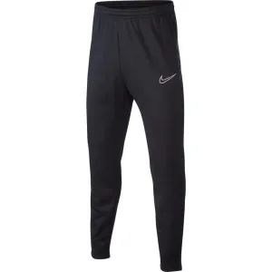 Nike Therma Pants