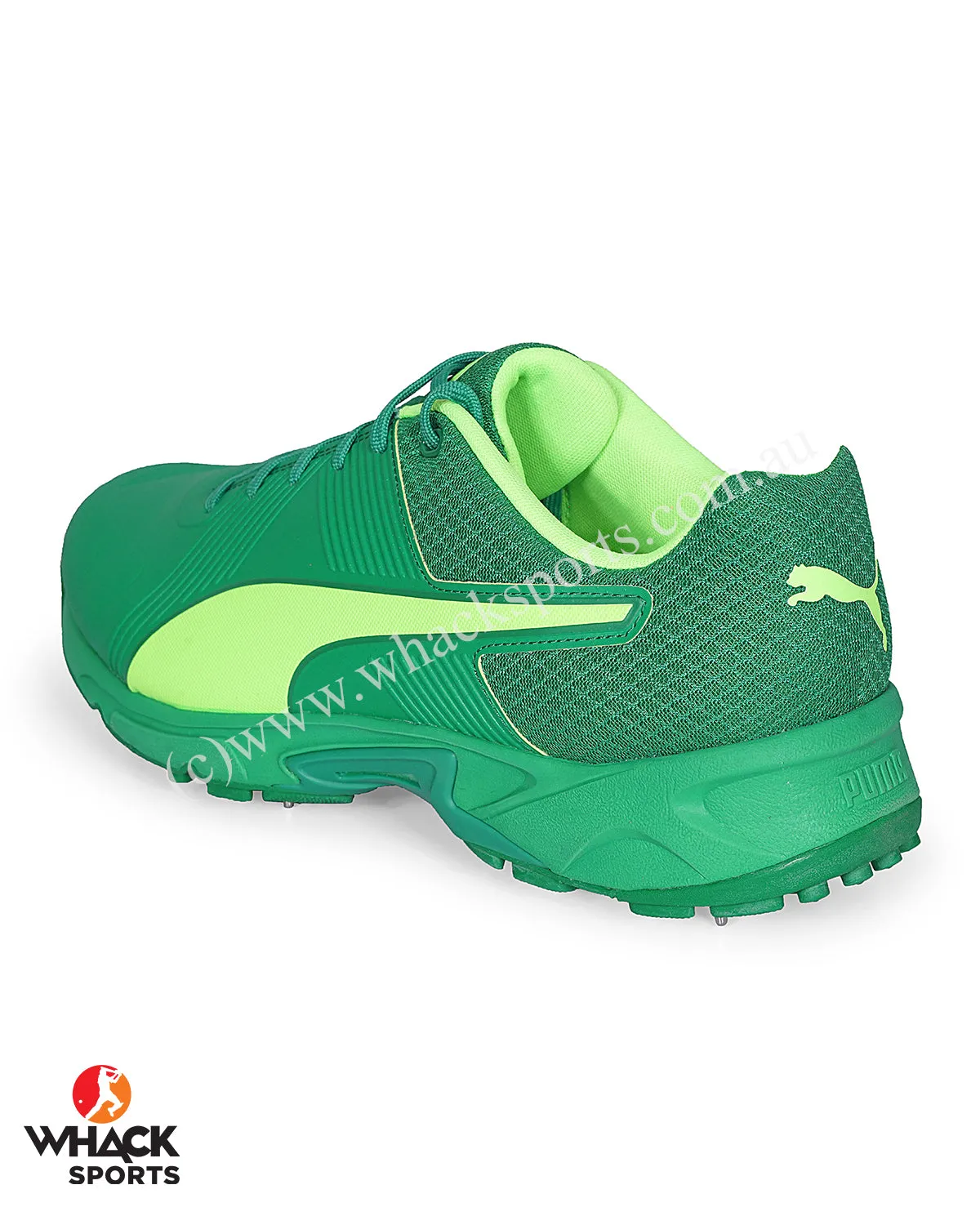 Puma 19.2 Cricket Shoes - Steel Spikes - Amazon Green-Green Glare