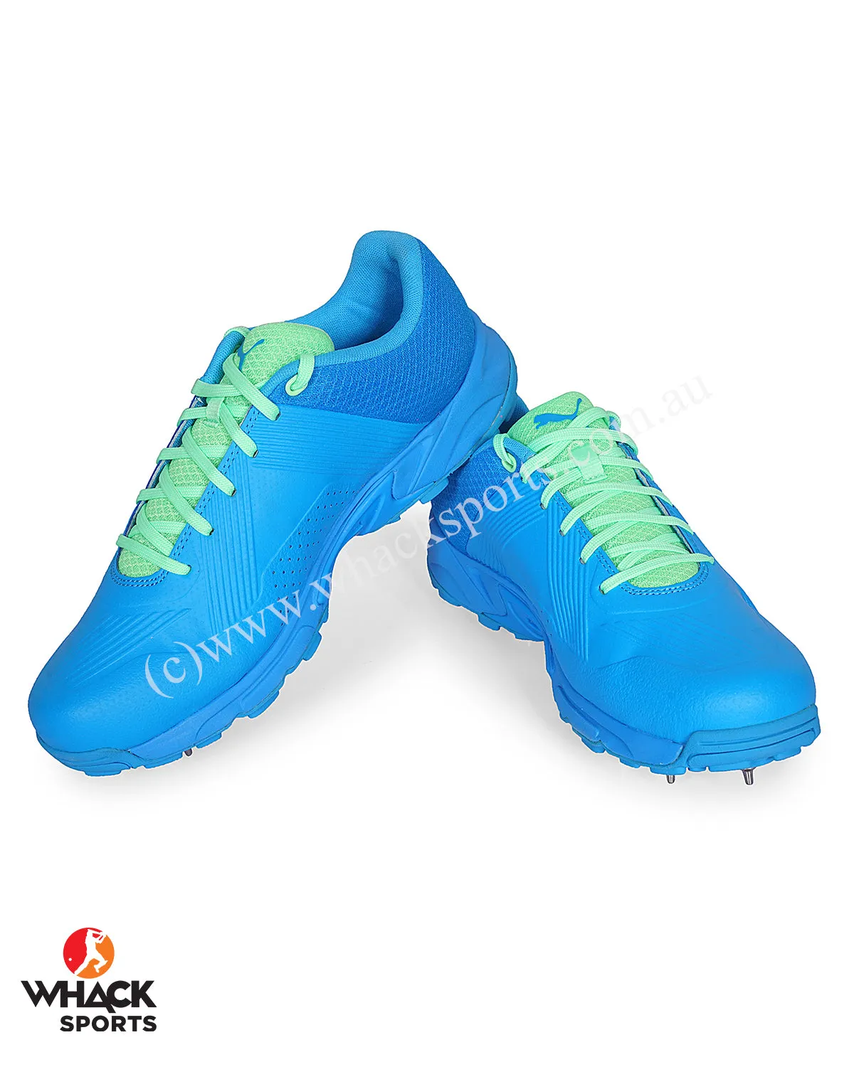 Puma 19.2 Cricket Shoes - Steel Spikes - Elektro Green Nrgy Blue