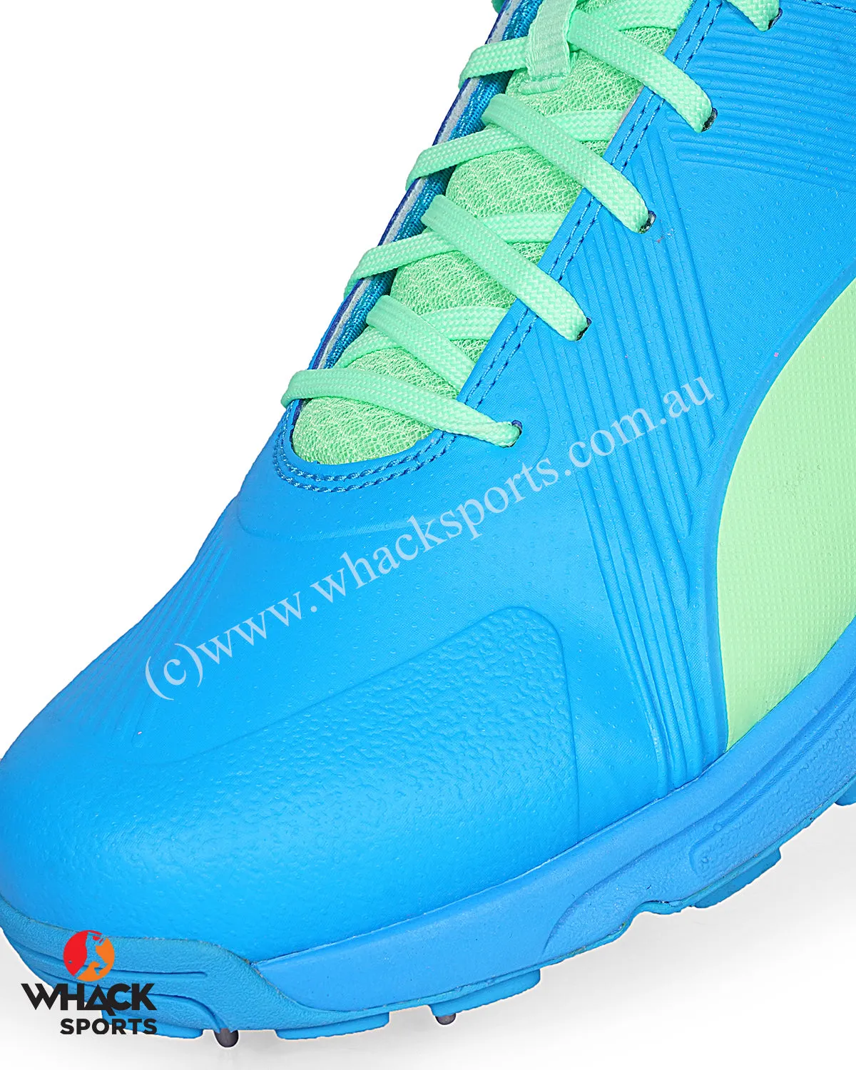 Puma 19.2 Cricket Shoes - Steel Spikes - Elektro Green Nrgy Blue