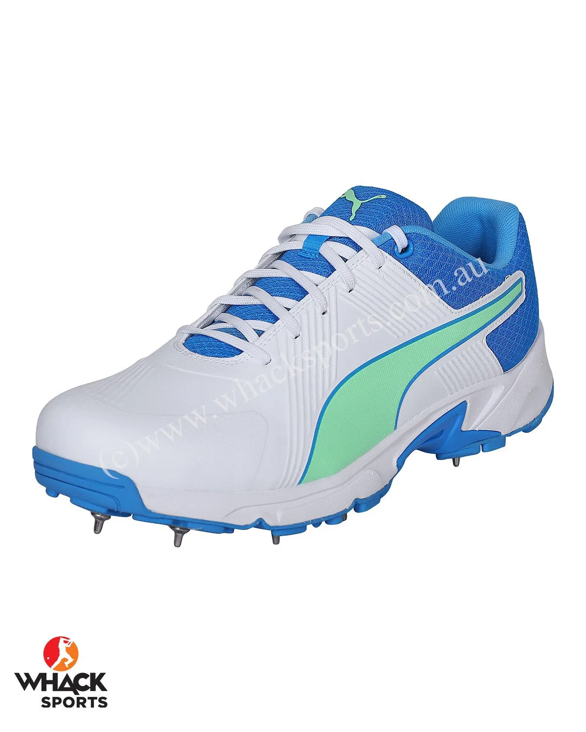 Puma 19.2 Cricket Shoes - Steel Spikes - White Nrgy Blue Green