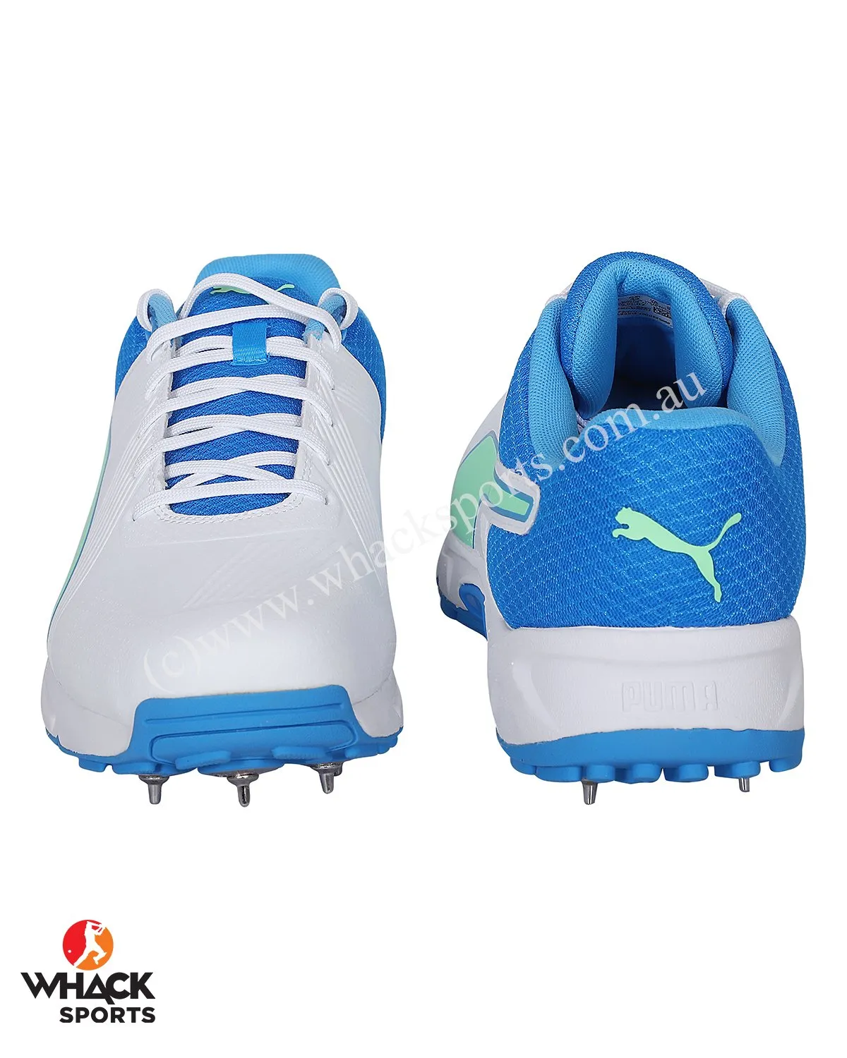 Puma 19.2 Cricket Shoes - Steel Spikes - White Nrgy Blue Green