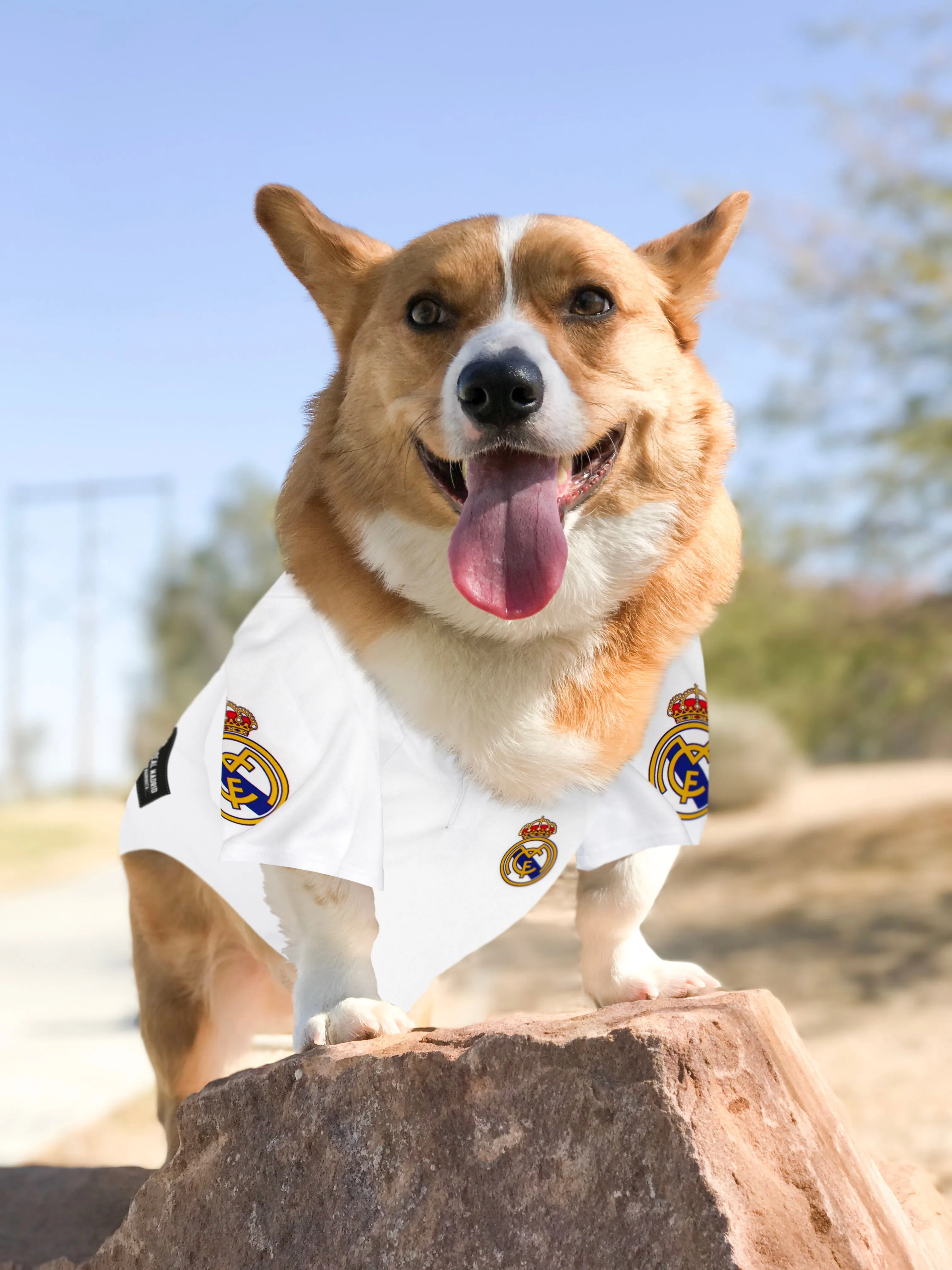 Real Madrid Dog & Cat Soccer Jersey