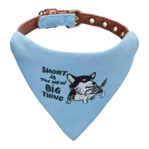 Tiny dog collar - "Small is the new big thing"